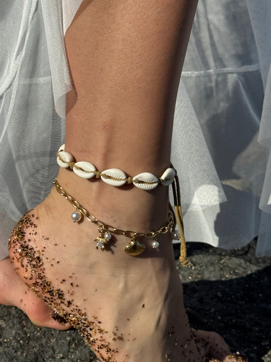 CAVIGLIERA “ORO DEL MARE”