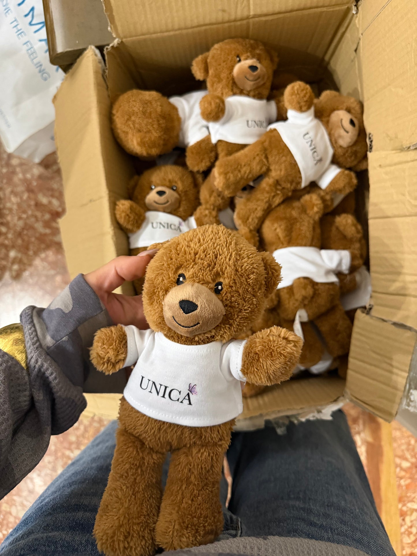 TEDDY UNICA