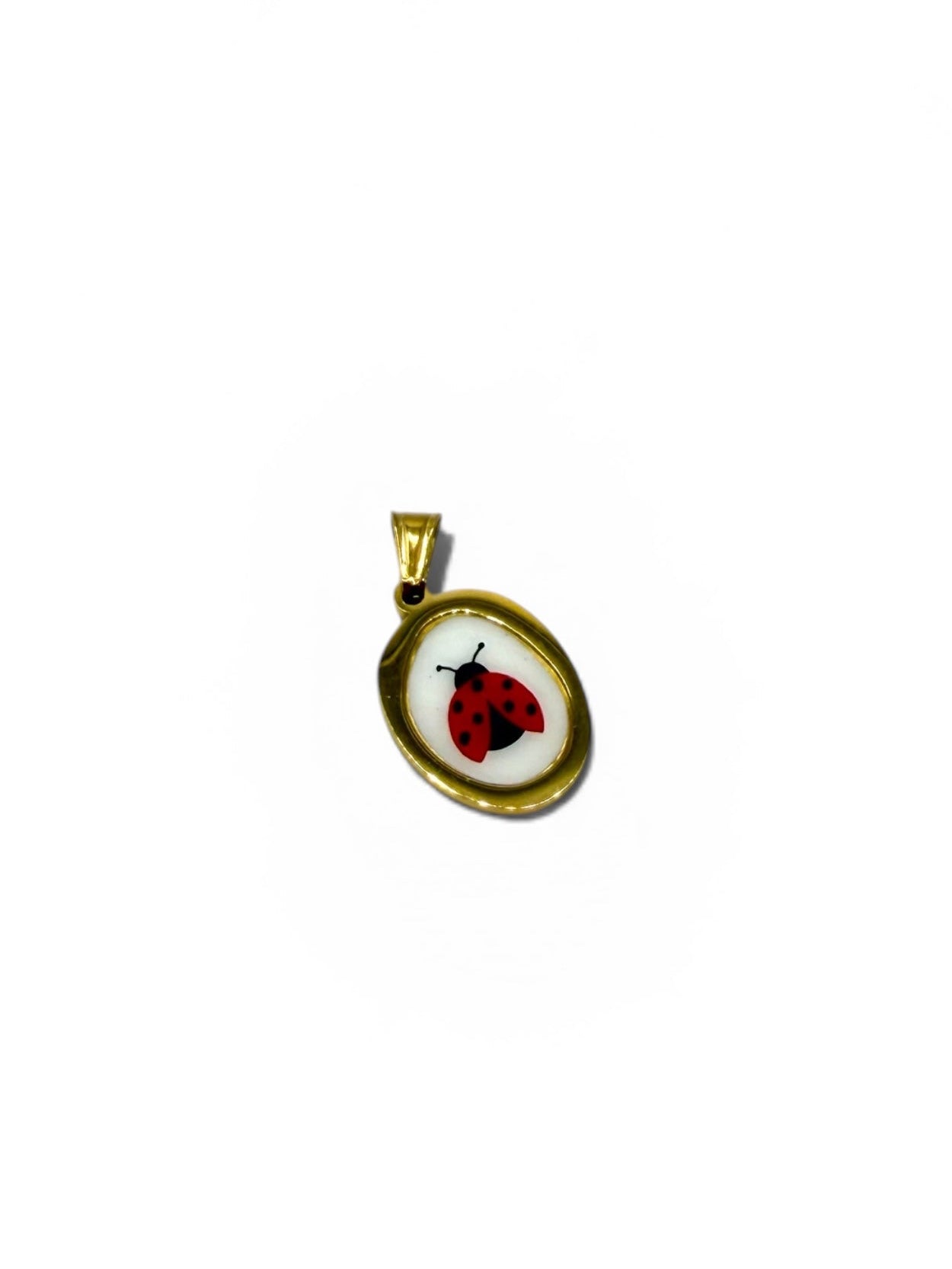 CHARM COCCINELLA