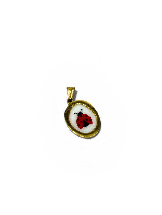 CHARM COCCINELLA