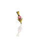 CHARM TULIPANO