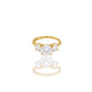 ANELLO TRILOGY BIG