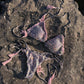 BIKINI STELLA grigio e rosa