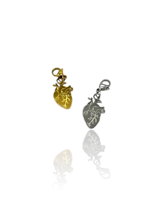 Charm Cuore Anatomico