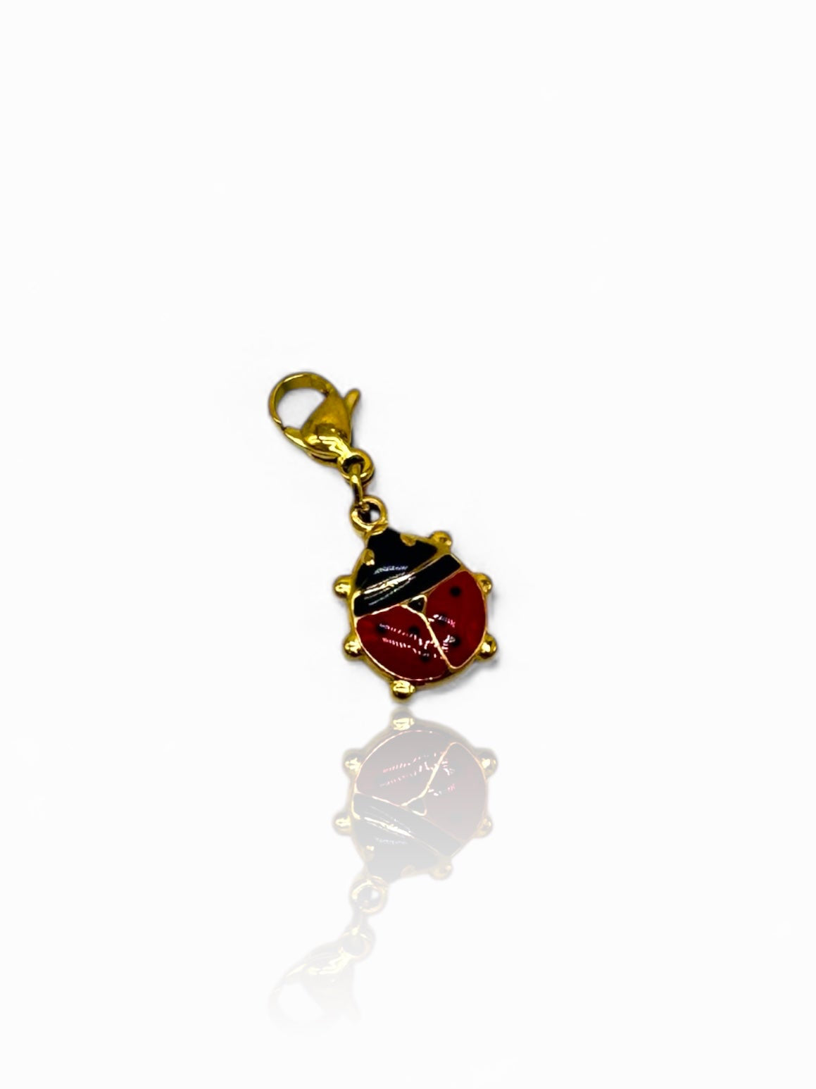 Charm Coccinella